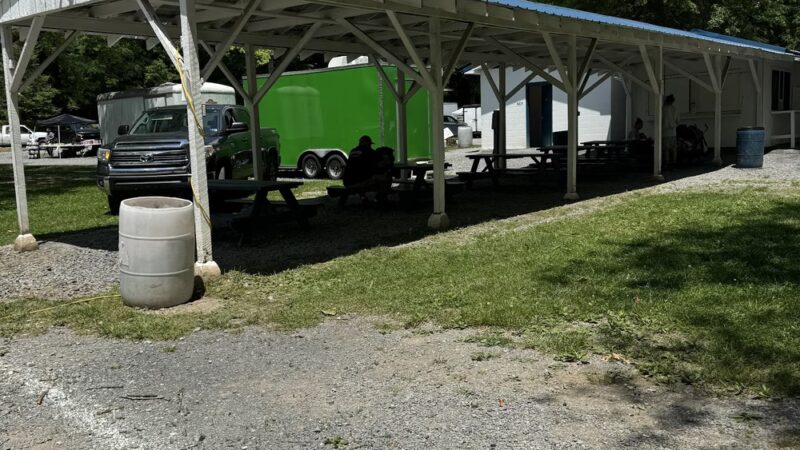 Pence Springs Flea Market - Pence Springs, WV
