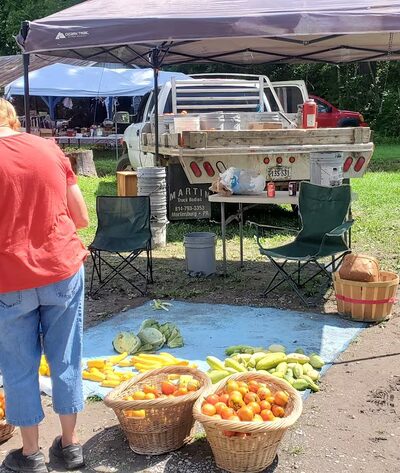 Pence Springs Flea Market - Pence Springs, WV