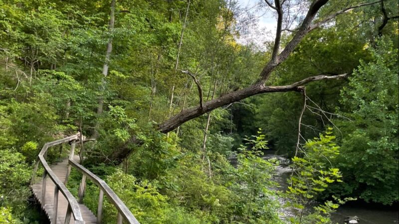 Channing H. Philbrick Park - Penfield, NY