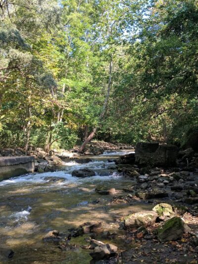 Channing H. Philbrick Park - Penfield, NY