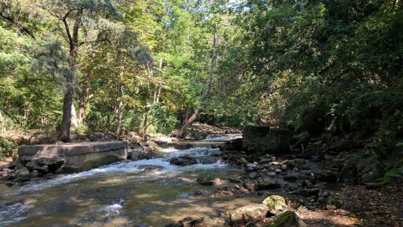 Channing H. Philbrick Park - Penfield, NY