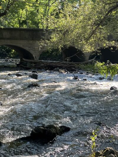 Channing H. Philbrick Park - Penfield, NY