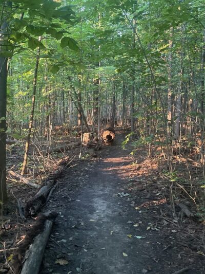Harris Whalen Park - Penfield, NY