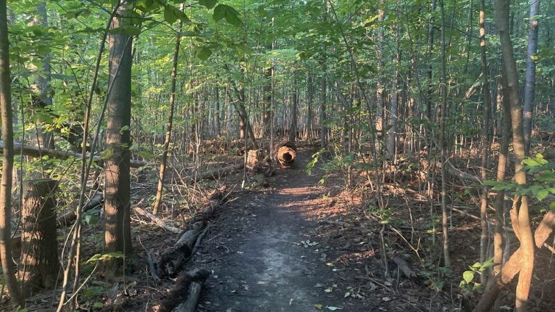 Harris Whalen Park - Penfield, NY