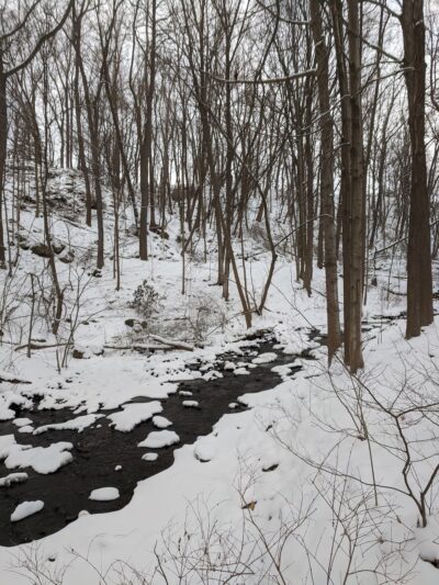 Schaufelberger Park - Penfield, NY