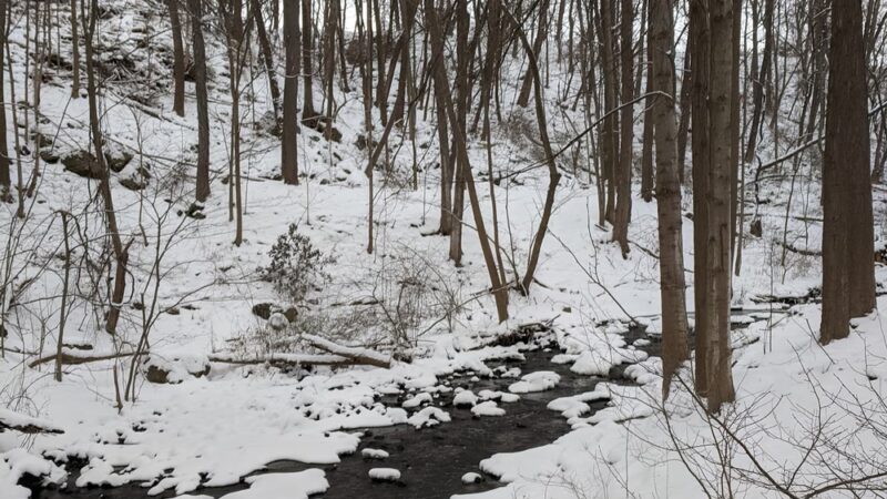 Schaufelberger Park - Penfield, NY