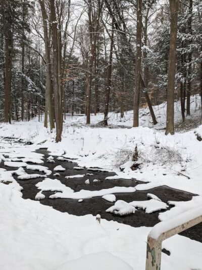 Schaufelberger Park - Penfield, NY
