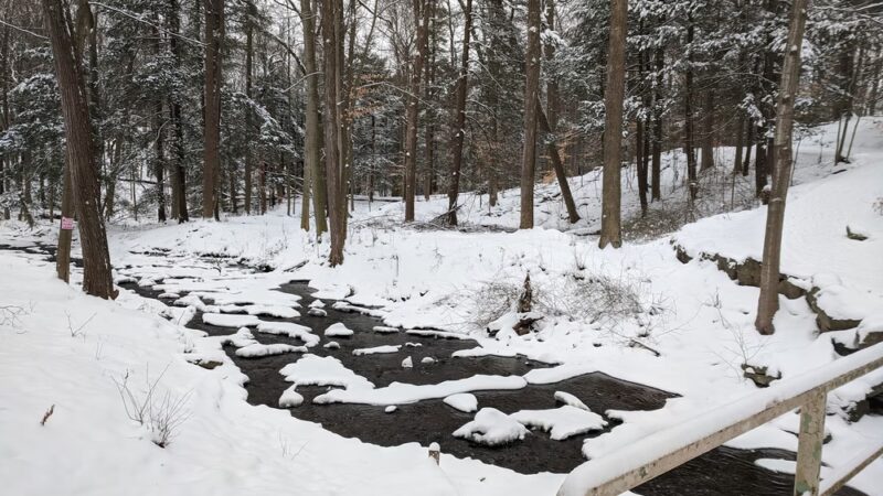 Schaufelberger Park - Penfield, NY