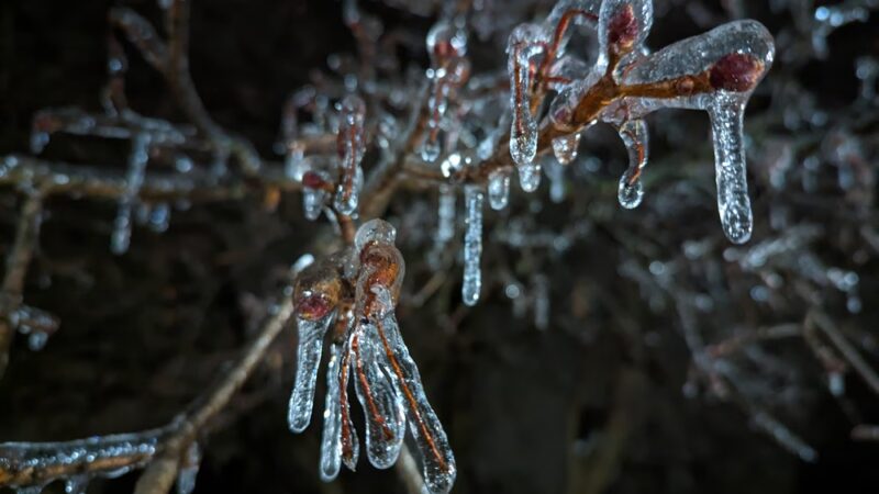 Schaufelberger Park - Penfield, NY