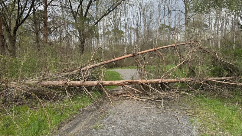 Sherwood Fields Park - Penfield, NY