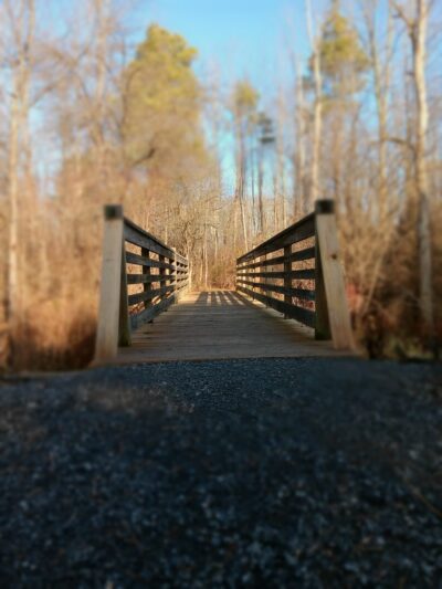 Sherwood Fields Park - Penfield, NY