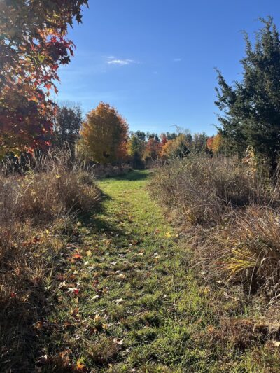 Crossways Preserve - Penllyn, PA