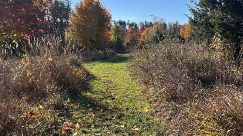 Crossways Preserve - Penllyn, PA