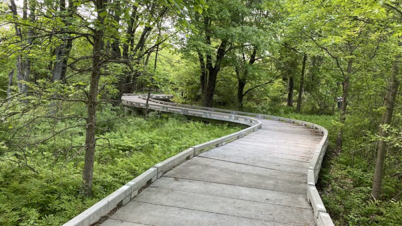 Crossways Preserve - Penllyn, PA