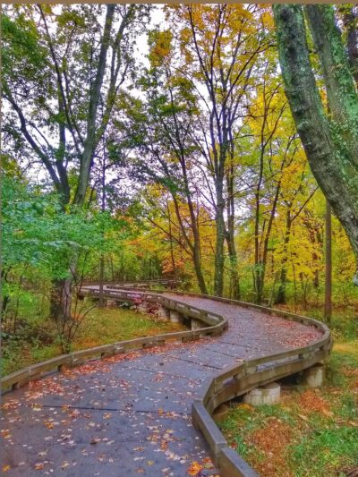 Crossways Preserve - Penllyn, PA