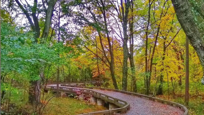 Crossways Preserve - Penllyn, PA