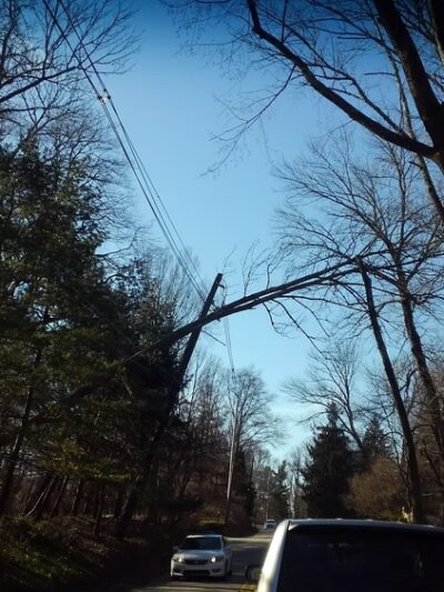 Crossways Preserve - Penllyn, PA