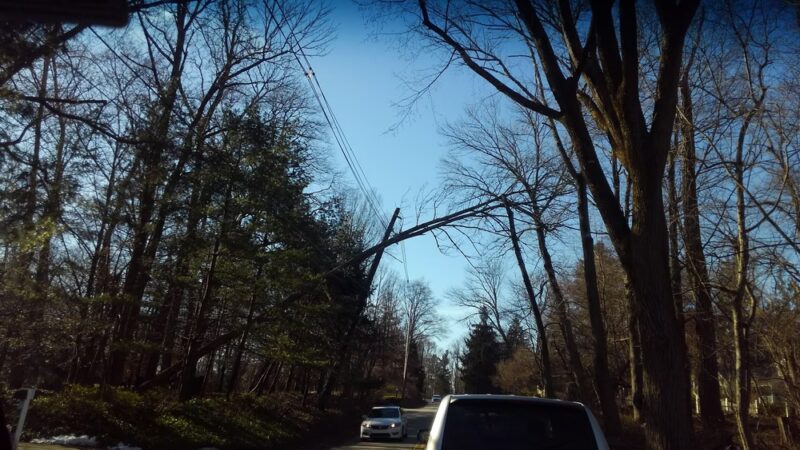 Crossways Preserve - Penllyn, PA