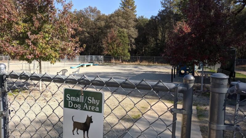 Dog Training Area - Penn Valley, CA