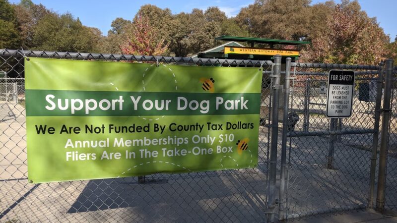 Dog Training Area - Penn Valley, CA