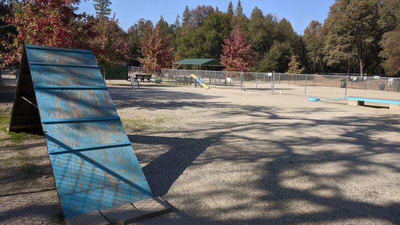 Dog Training Area - Penn Valley, CA