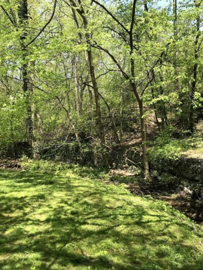 Wynnewood Valley Park - Penn Wynne, PA