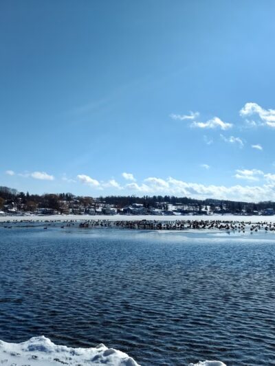 Indian Pines Park - Penn Yan, NY