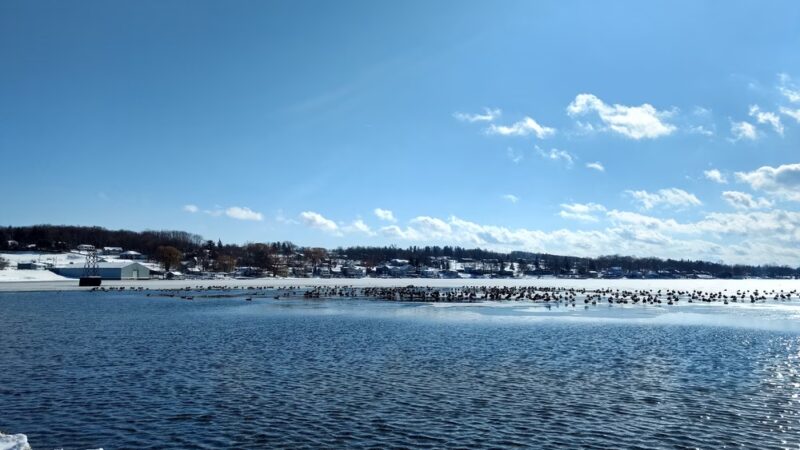 Indian Pines Park - Penn Yan, NY