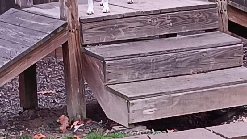 Keuka Pet Resort Boarding Kennel & Daycare - Penn Yan, NY