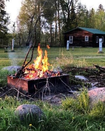 Red Beard's Resort - Pennington, MN
