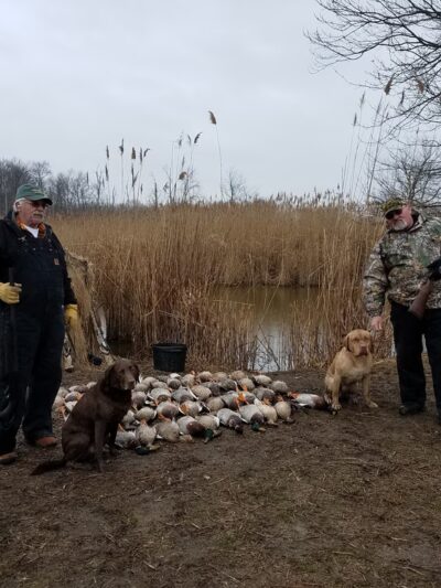 M&M Hunting Preserve - Pennsville, NJ