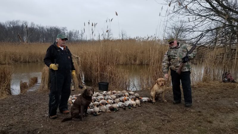 M&M Hunting Preserve - Pennsville, NJ