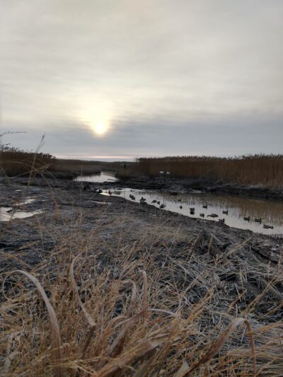 M&M Hunting Preserve - Pennsville, NJ