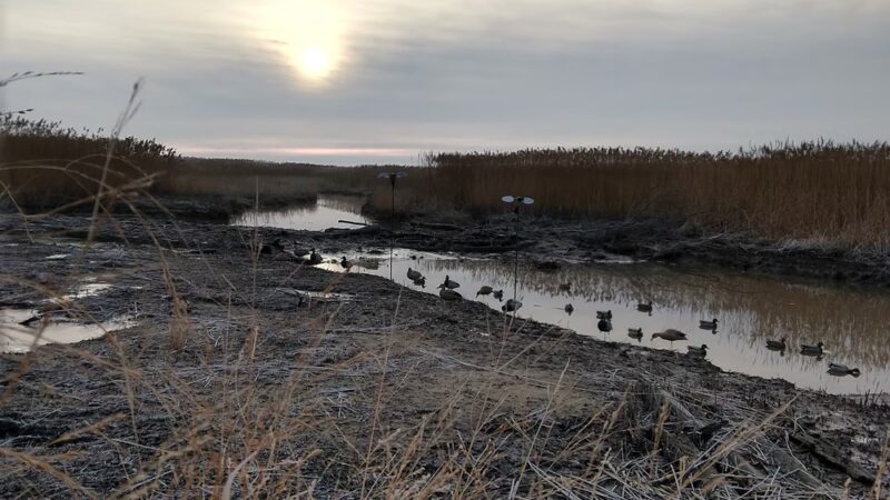 M&M Hunting Preserve - Pennsville, NJ