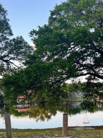 Linear Park - Pensacola, FL