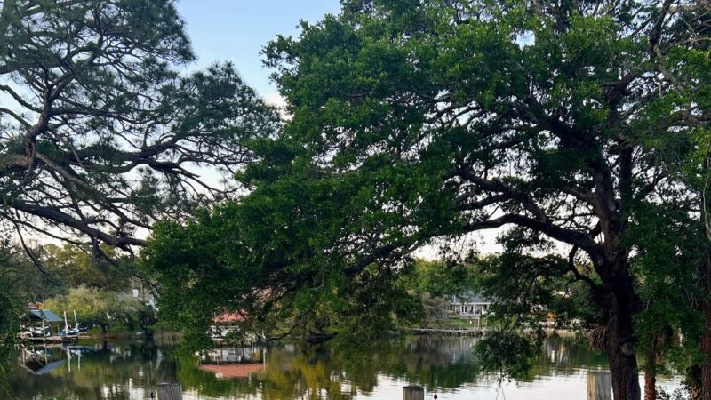 Linear Park - Pensacola, FL