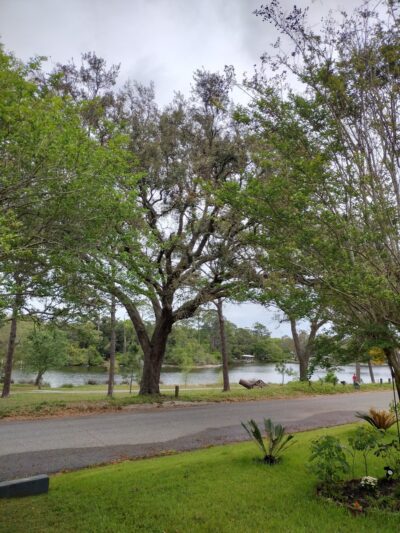 Linear Park - Pensacola, FL