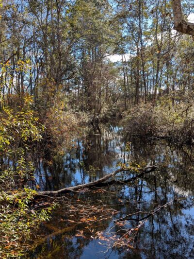 Southwest Greenway nature trail parking - Pensacola, FL