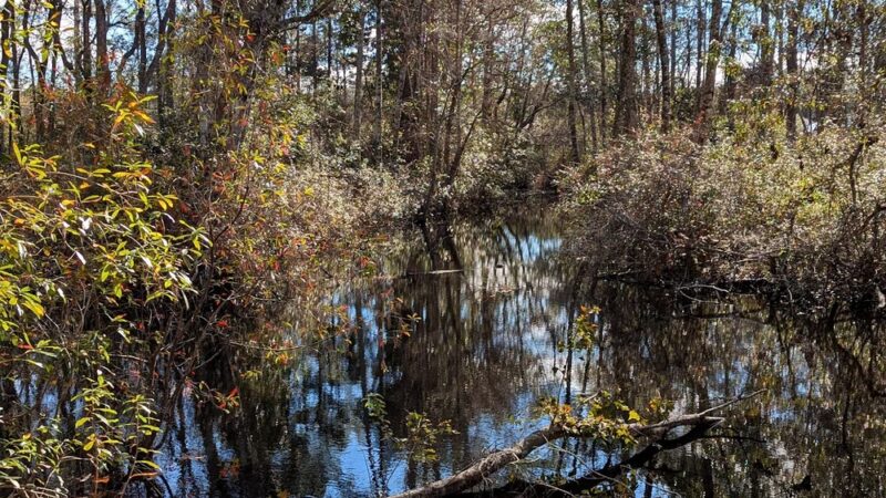 Southwest Greenway nature trail parking - Pensacola, FL