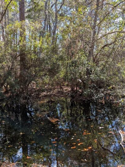 Southwest Greenway nature trail parking - Pensacola, FL