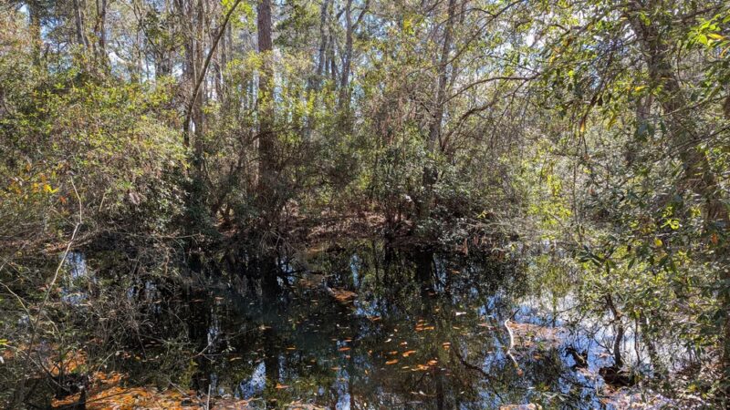 Southwest Greenway nature trail parking - Pensacola, FL