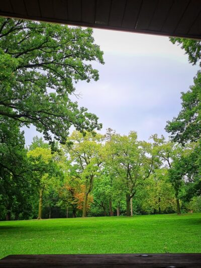 Laura Bradley Park - Peoria, IL