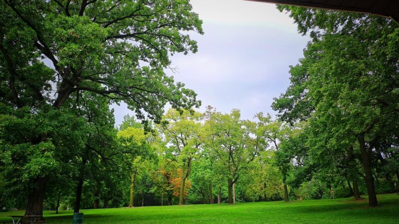 Laura Bradley Park - Peoria, IL