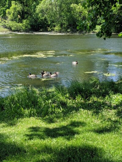 Peotone Park District - Peotone, IL
