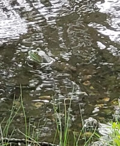Peotone Park District - Peotone, IL