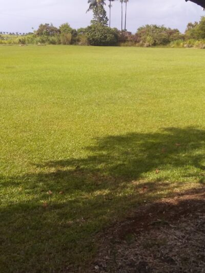 Pepe'ekeo Park - Pepeekeo, HI