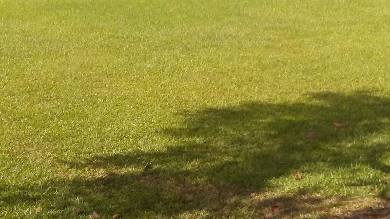 Pepe'ekeo Park - Pepeekeo, HI