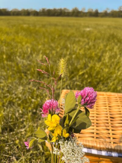 Forest Rd. Park - Perkasie, PA