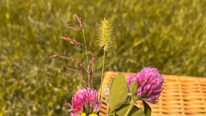 Forest Rd. Park - Perkasie, PA