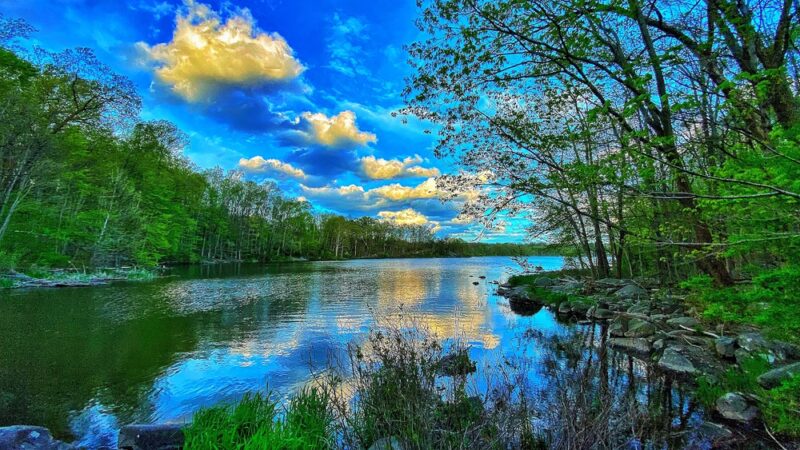 Sterner Mill Trail - Nockamixon - Perkasie, PA